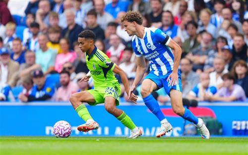 Brighton-Fulham