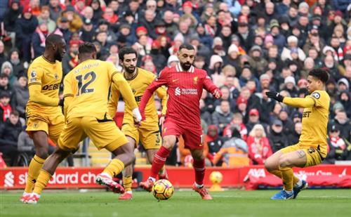 Liverpool vs lobos