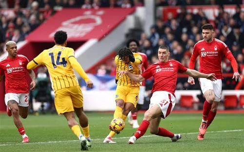 Bosque de Nottingham contra Brighton