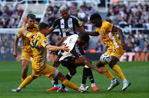 Newcastle United-Brighton