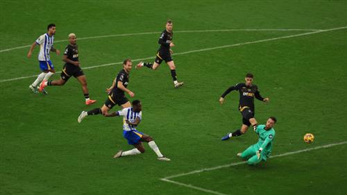 Brighton contra lobos