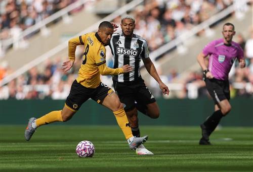Newcastle United contra lobos
