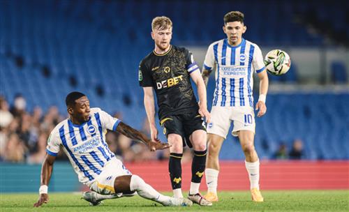 Brighton contra lobos