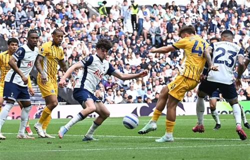 Tottenham Hotspur vs Brighton